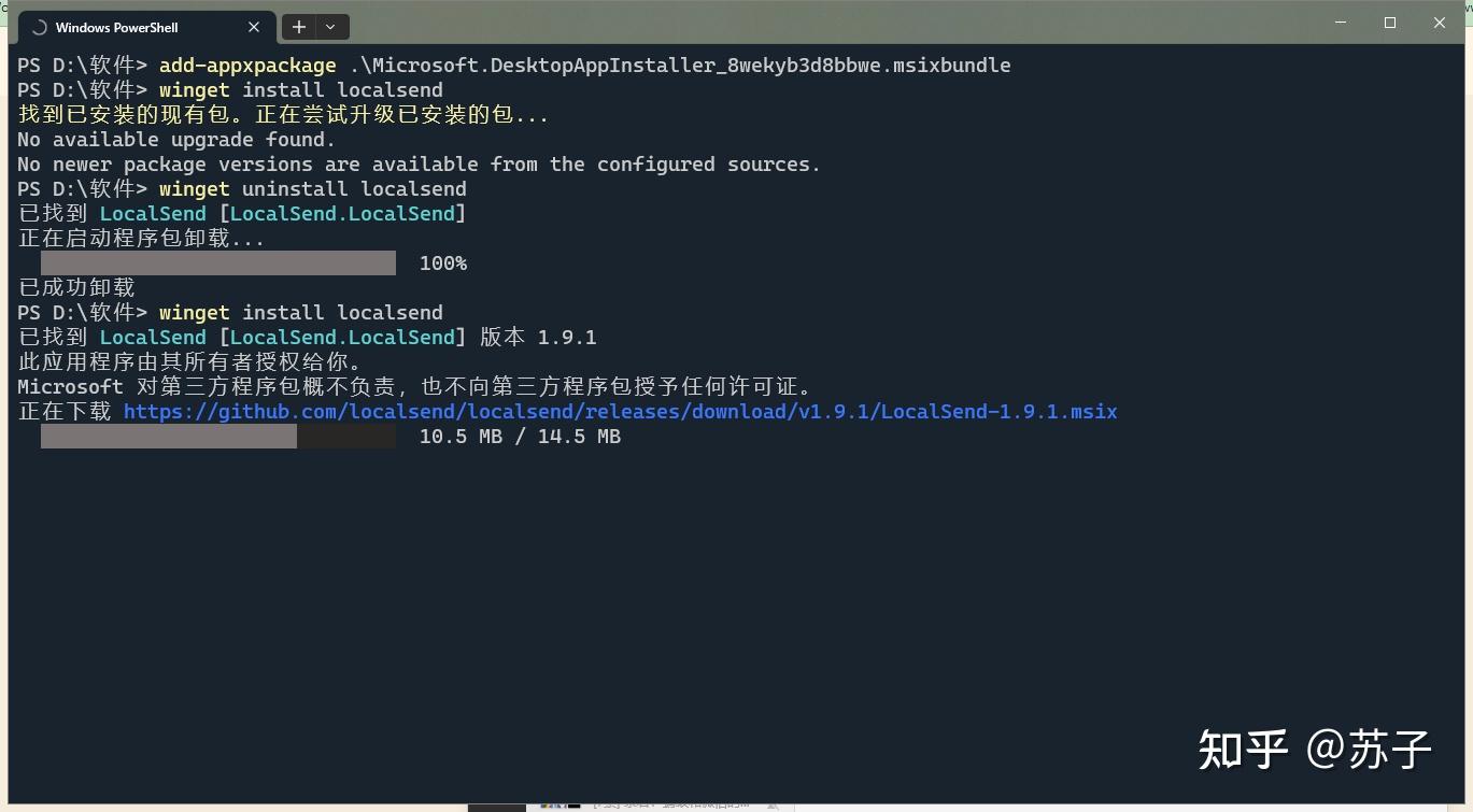 Winget msix msixbundle 