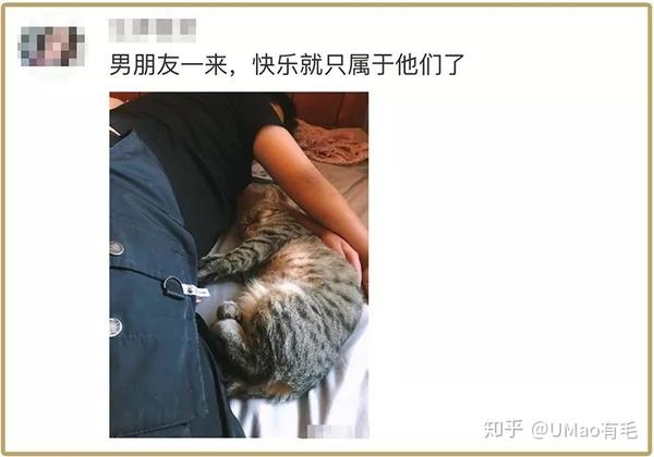 这个世界怎么了 连猫都更喜欢男人了吗 真相更酸 知乎
