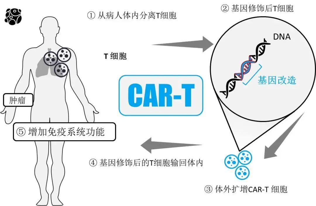 医生张煜被解聘令他一战成名的免疫疗法是魔鬼还是天使