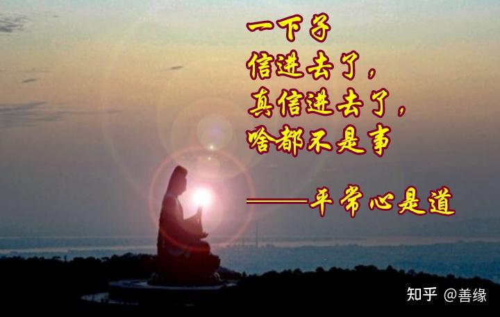 【人间净土】人身难得今已得,佛法难闻今已闻;今生不借此身渡,更待何