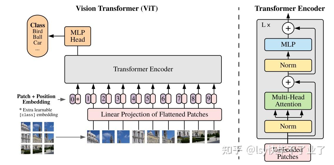 Vision Transform详解 - 知乎