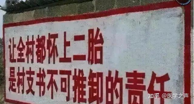 二胎獎一胎罰丁克不育都該抓讓全村都懷上二胎是村支書不可推卸的責任