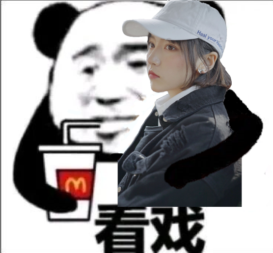 大佬们有没有诸葛大力的表情包啊