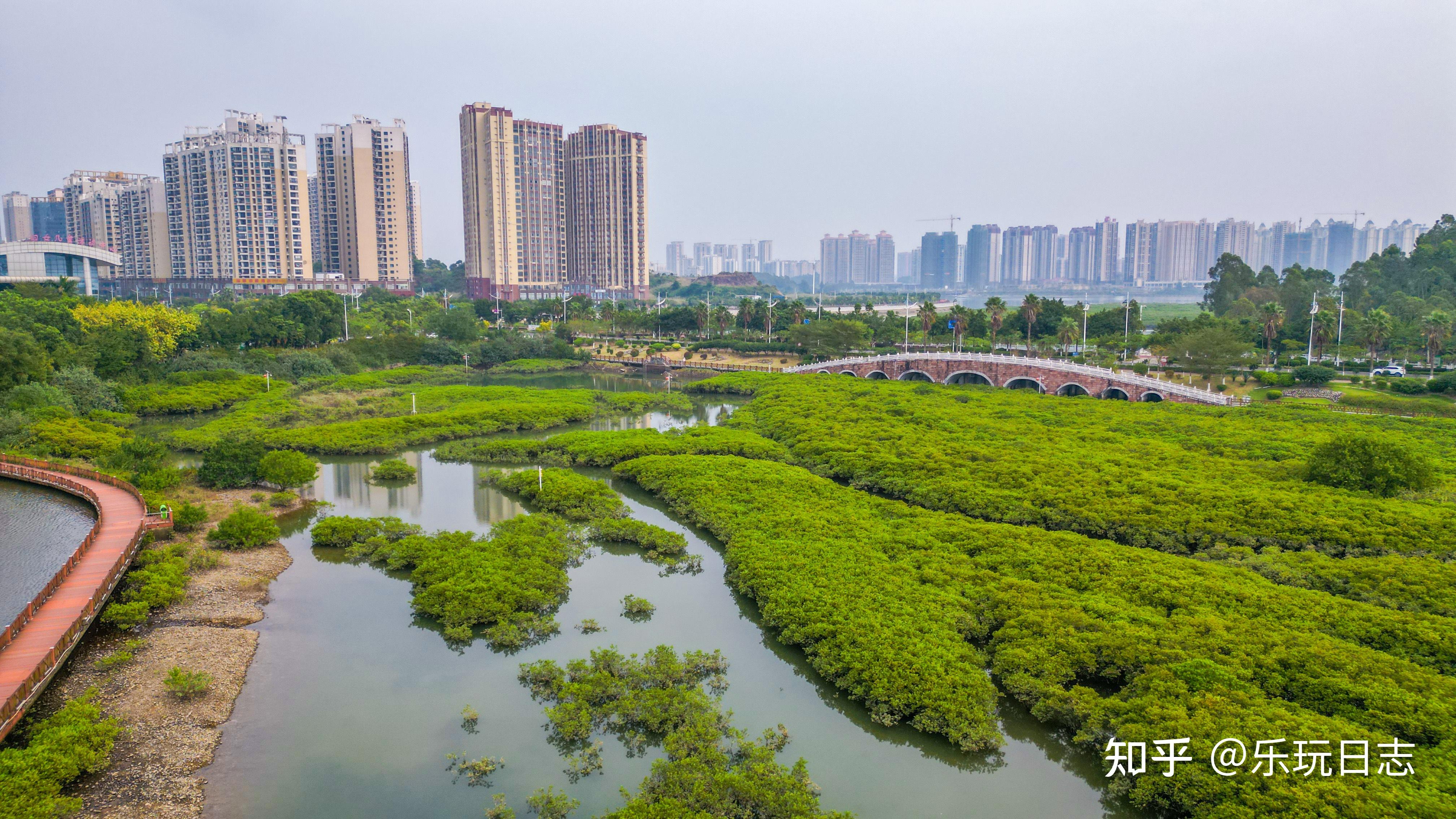 防城港旅游,红树林生态湿地景观带非常不错,看候鸟和休闲的好去处