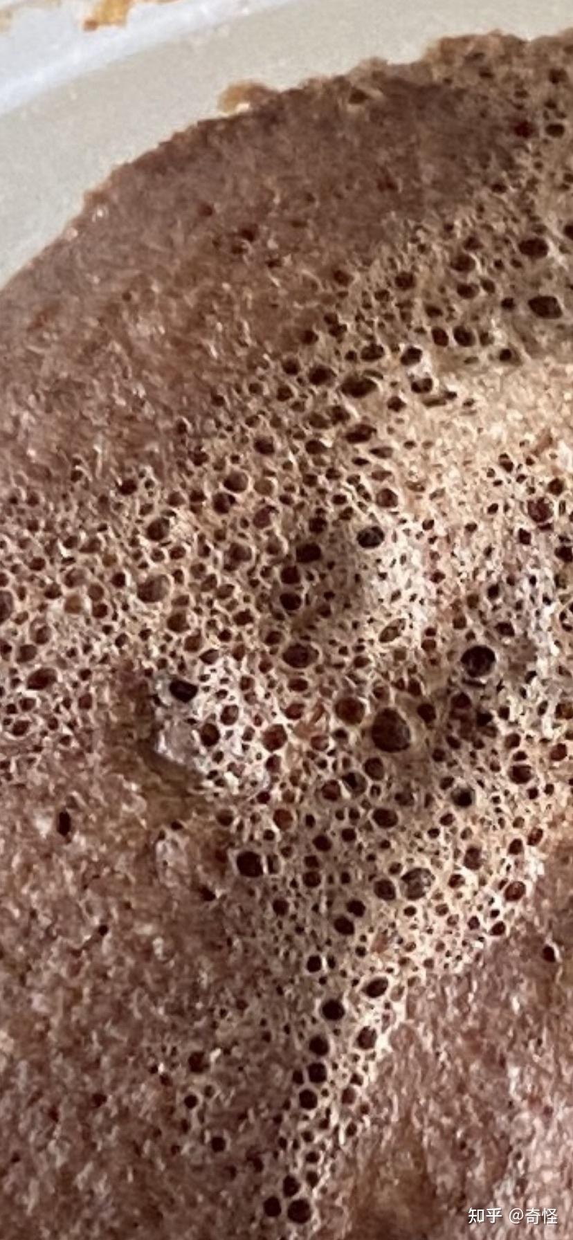 有哪些逼死密集恐惧症的图片或视频