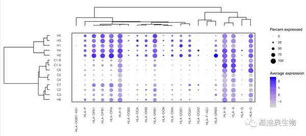 生信工具推荐|轻松搞定表达量分布气泡图 - 知乎
