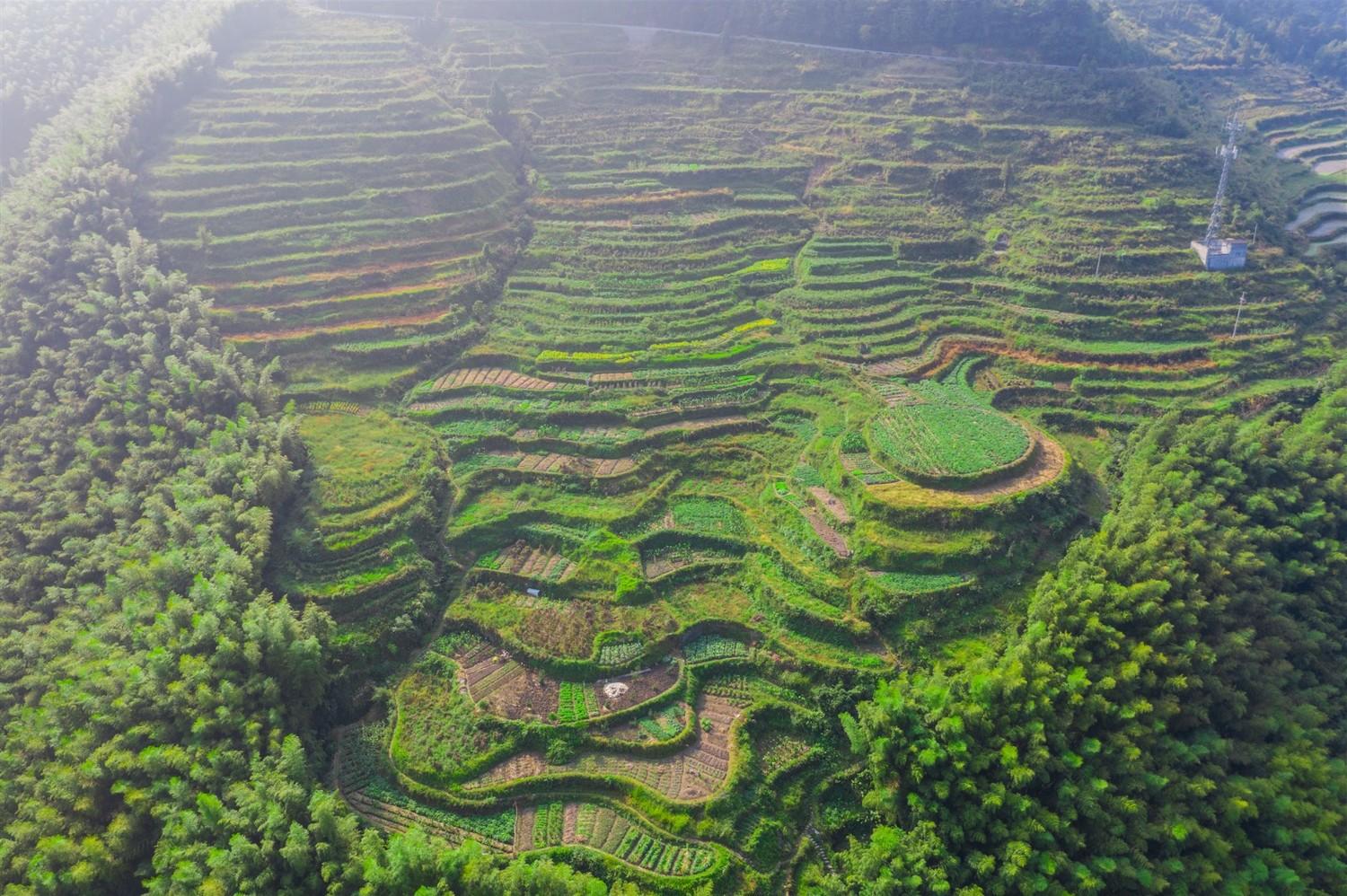 仙缙古道图片