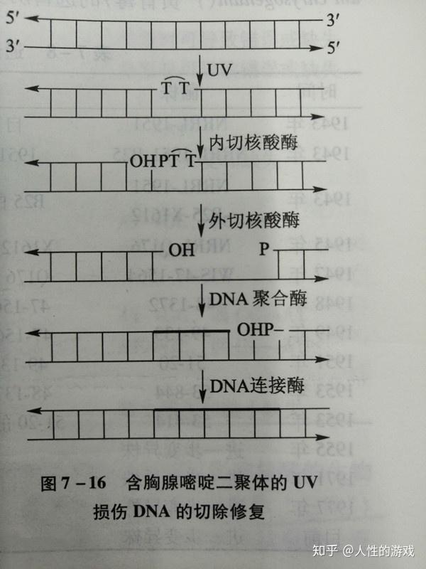 东煤网