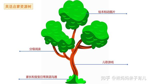 树干英语 树干英语怎么读 树的英语单词