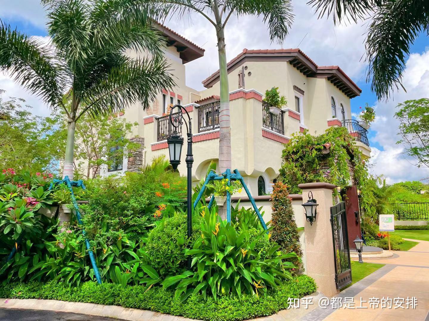 海南乱买房肯定后悔海南购房2024最强攻略政策篇