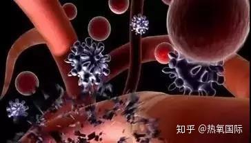 【小课堂】别让於和堵毁了你的身体 - 知乎