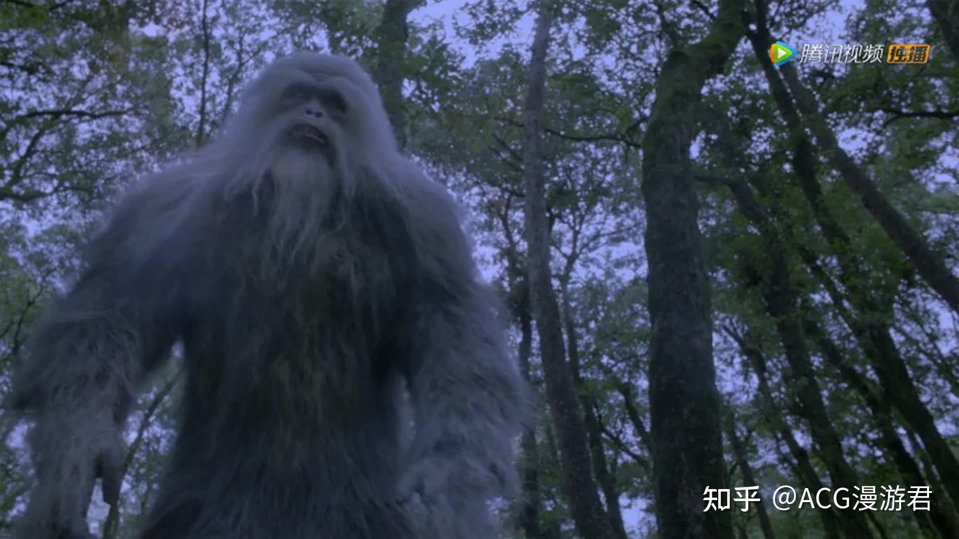 真人扮演的,当然这些都不是最重要的,最重要的是这只所谓的「泰坦巨猿