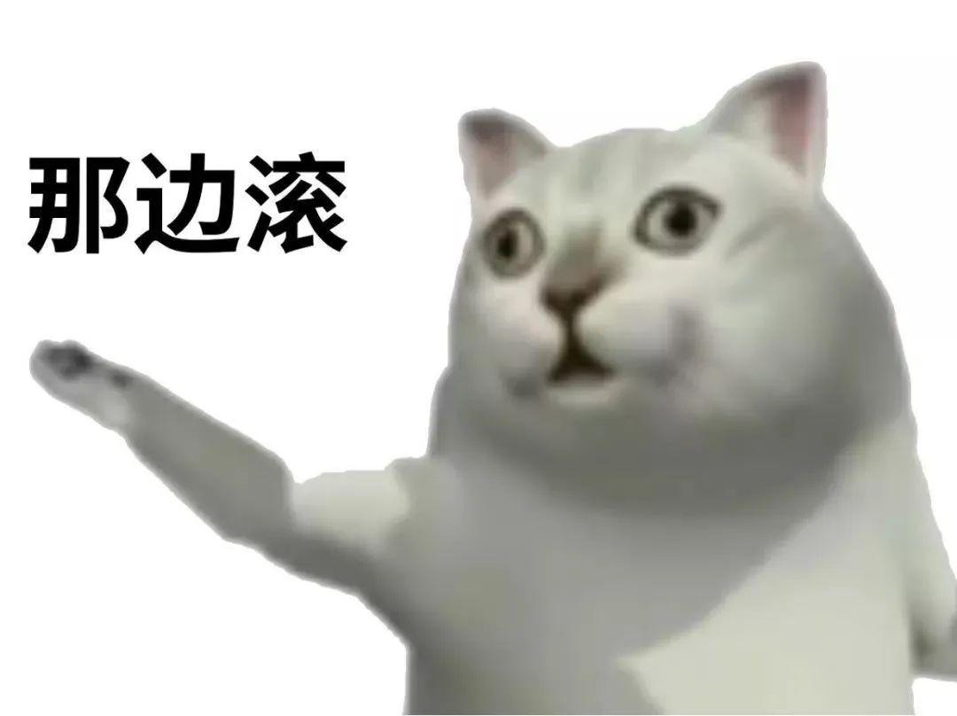 新增mur猫表情包 - 知乎