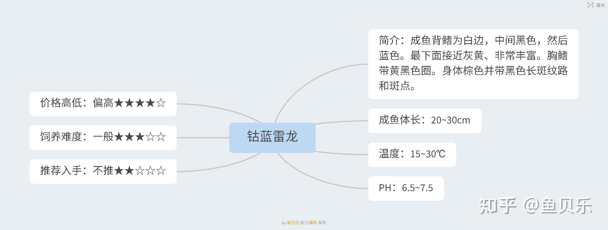 我来告诉你们雷龙怎么养才能成功  雷龙合集一 认识雷龙