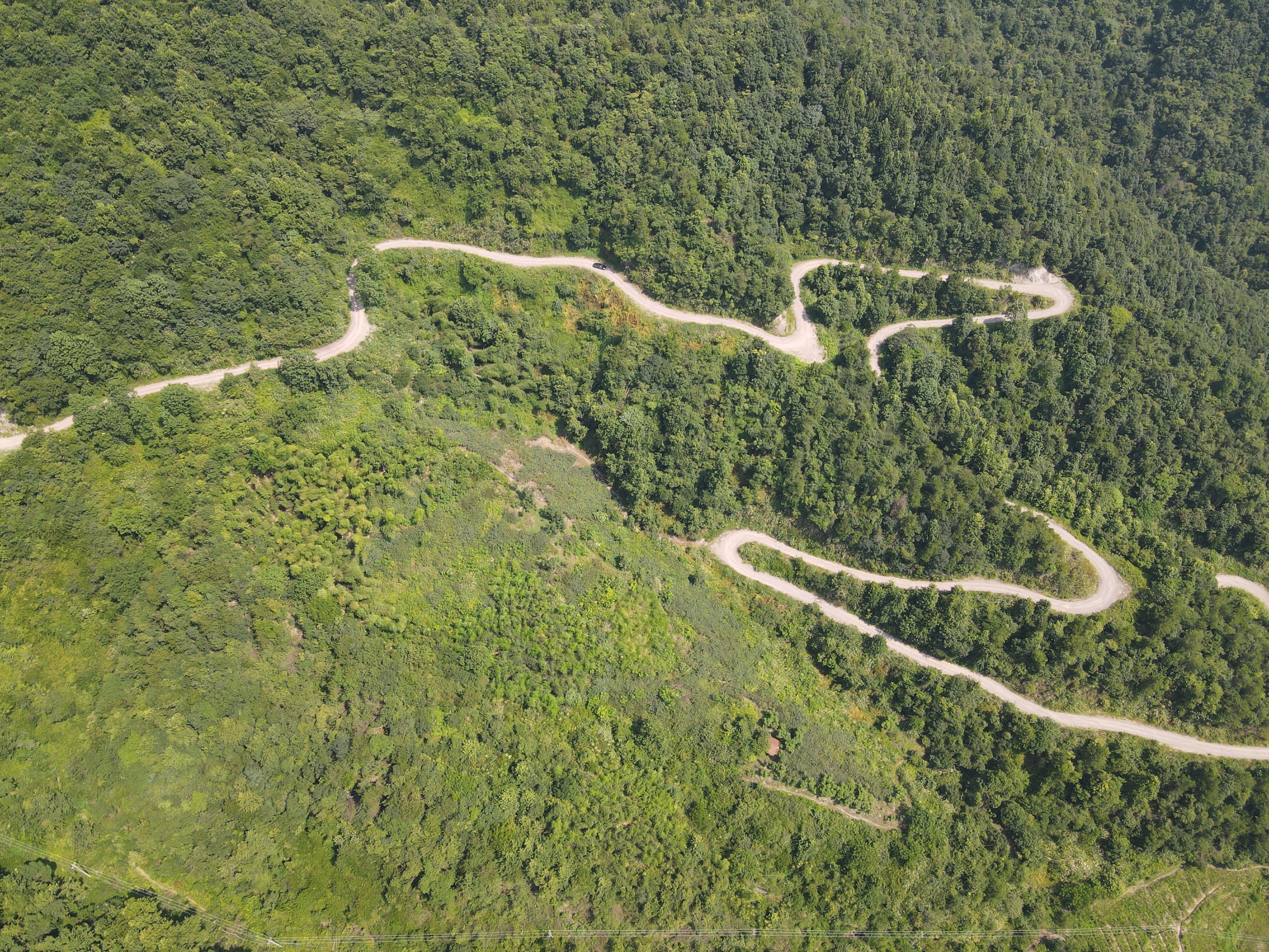 浙江最美自驾公路浦江图片