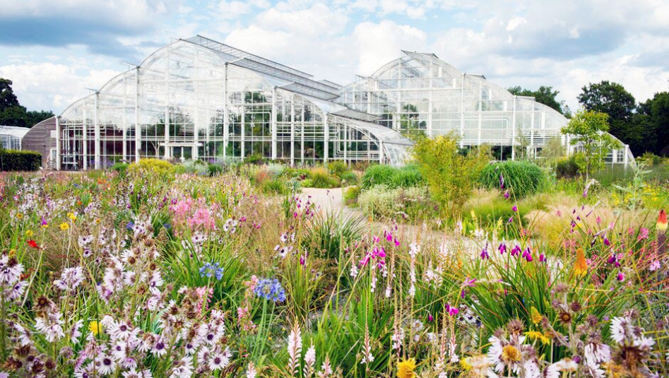 世界植物园赏析英国威斯利花园