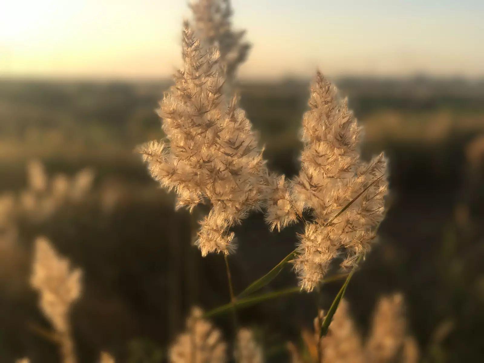 推荐一首歌《在人间》