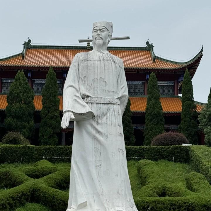 梦游的鱼