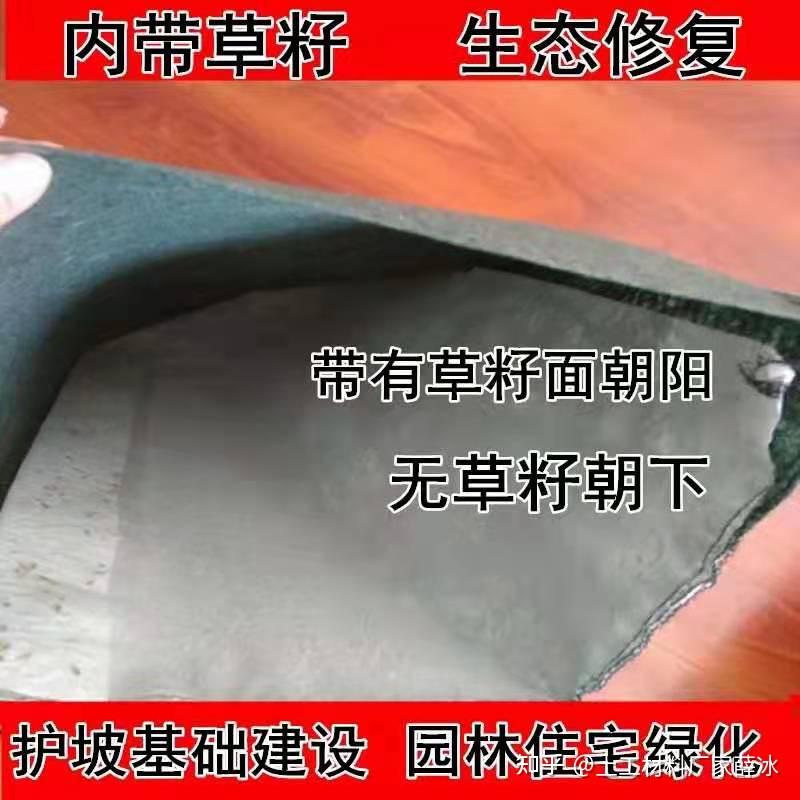 植生袋护坡工程施工工艺 - 知乎