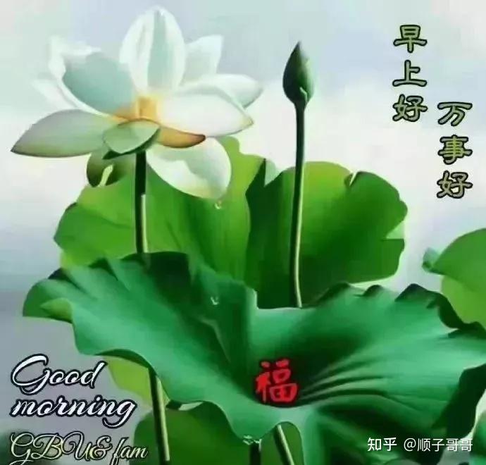 11月23日周二分享到朋友圈的早上好漂亮图片带字