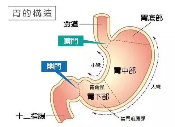 食为天,胃为先,胃就是这样被弄坏的 - 知乎