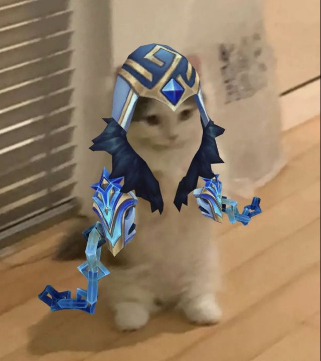 你都有哪些英雄联盟魔法猫咪的表情包