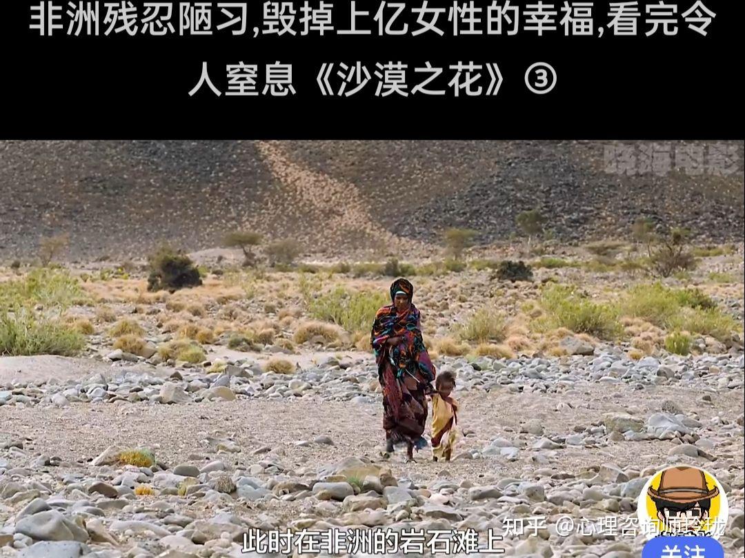 影评丨沙漠之花震惊世界的非洲割礼