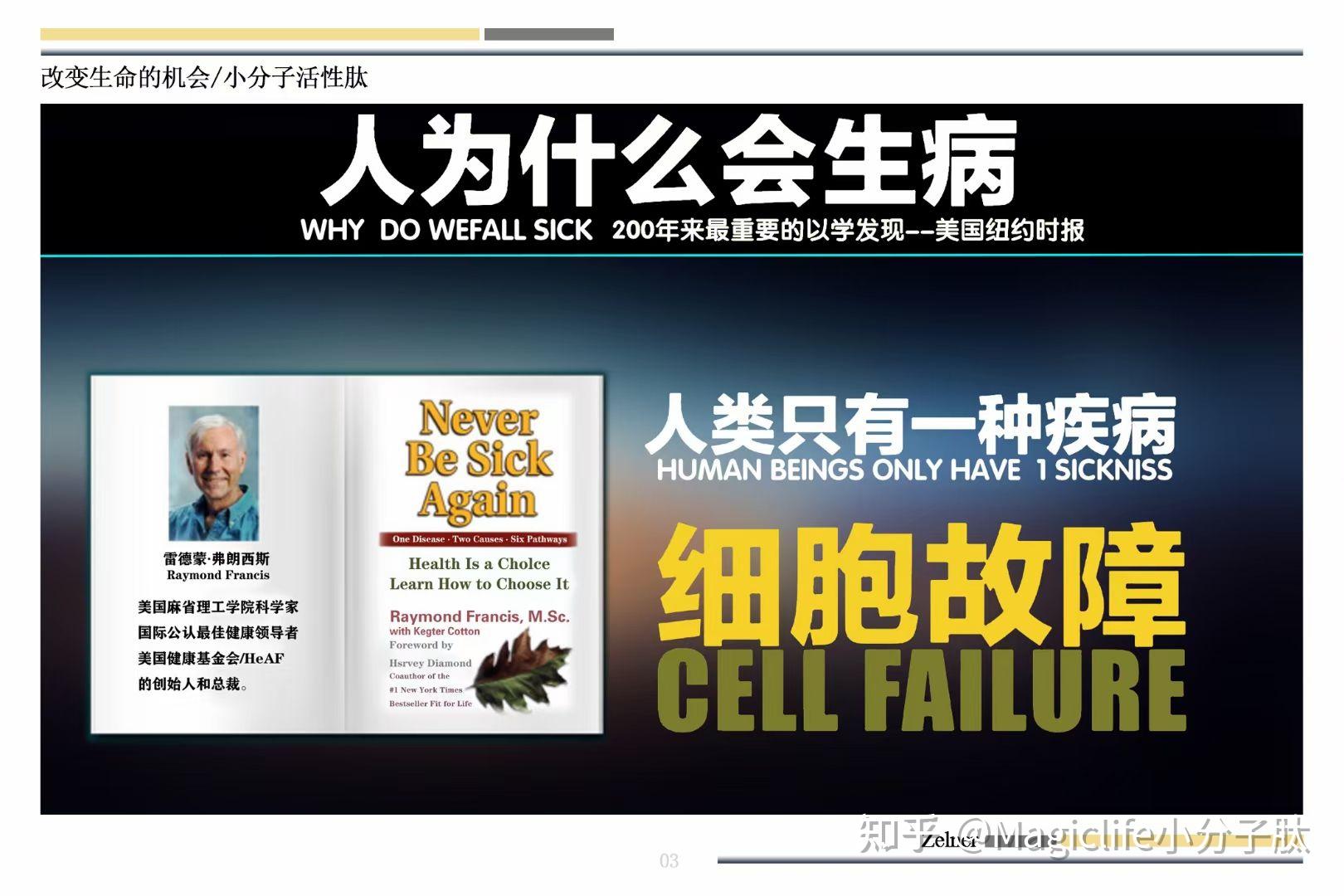 14小分子肽的营养吸收机制