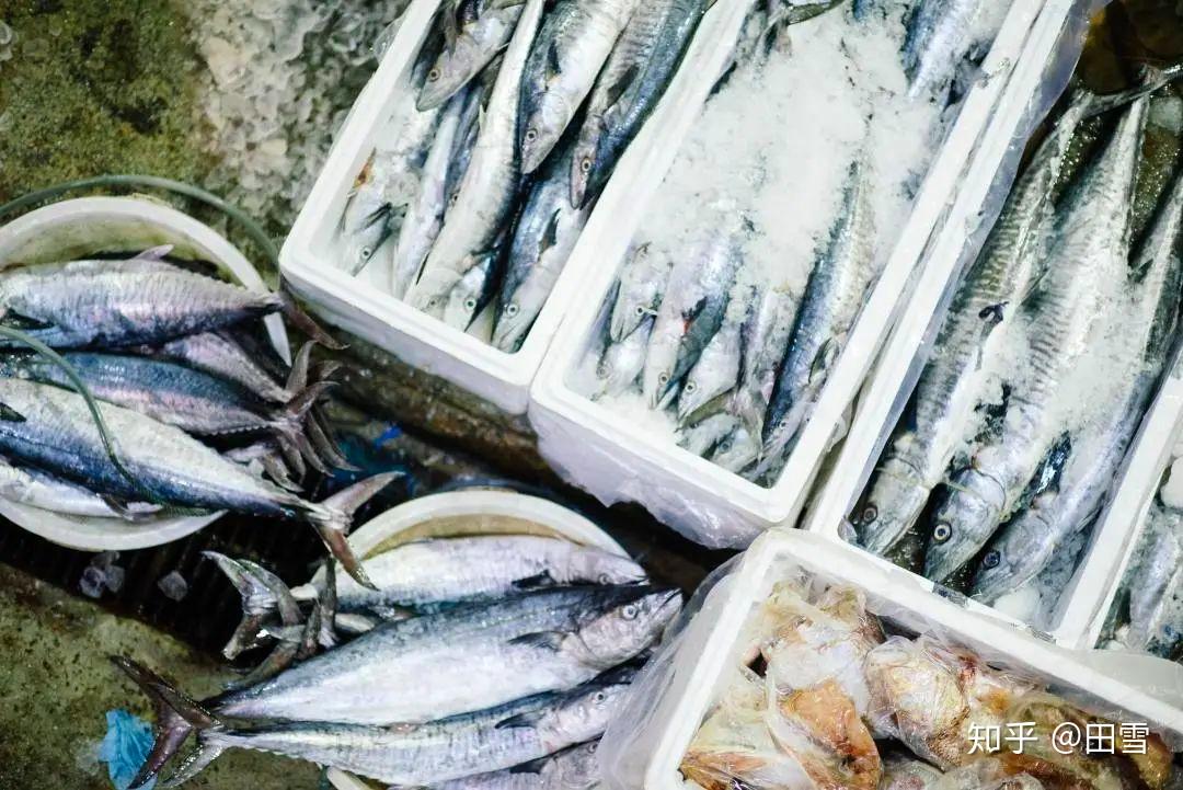 海鱼为什么可以生吃,淡水鱼为什么不能生吃? - 知乎