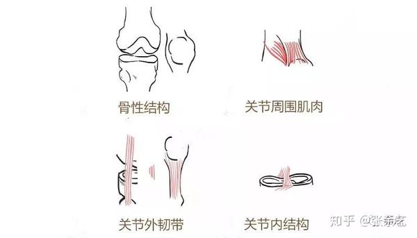膝盖疼 膝关节是人体最大最复杂的关节 又叫屈戌关节 只能朝一侧打弯