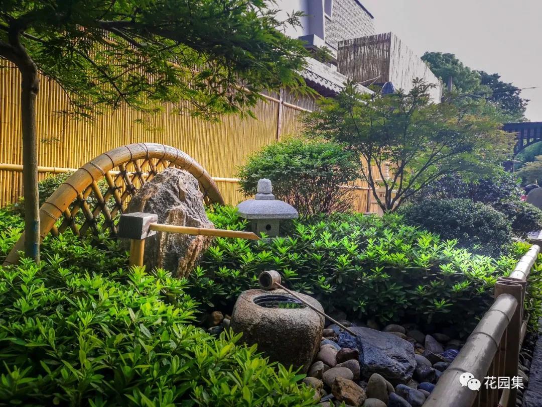 最小的日式庭院 坪庭 方寸间也能感受侘寂之美 知乎 最小的日式庭院 坪庭 方寸间也能感受侘寂之美 知乎