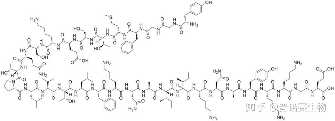 内啡肽 化学结构式图片