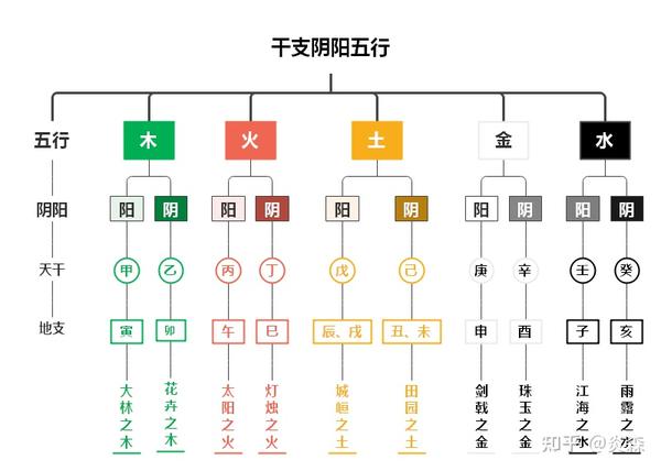 浅谈“干”与“支” - 知乎