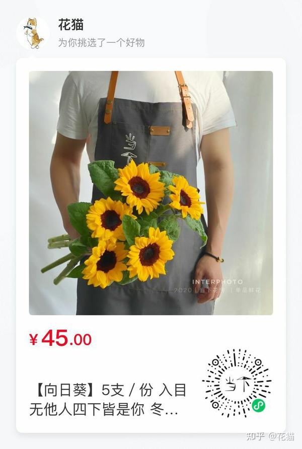 向日葵 知乎