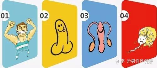 科普爸爸的丁丁短儿子的丁丁也一定短吗如何看待遗传因素