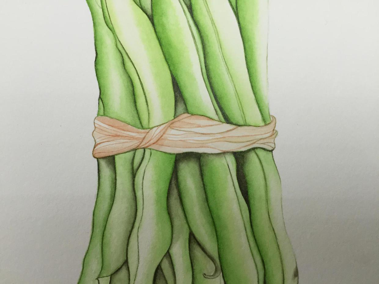 只需3步零基础小白也能画出这捆四季豆