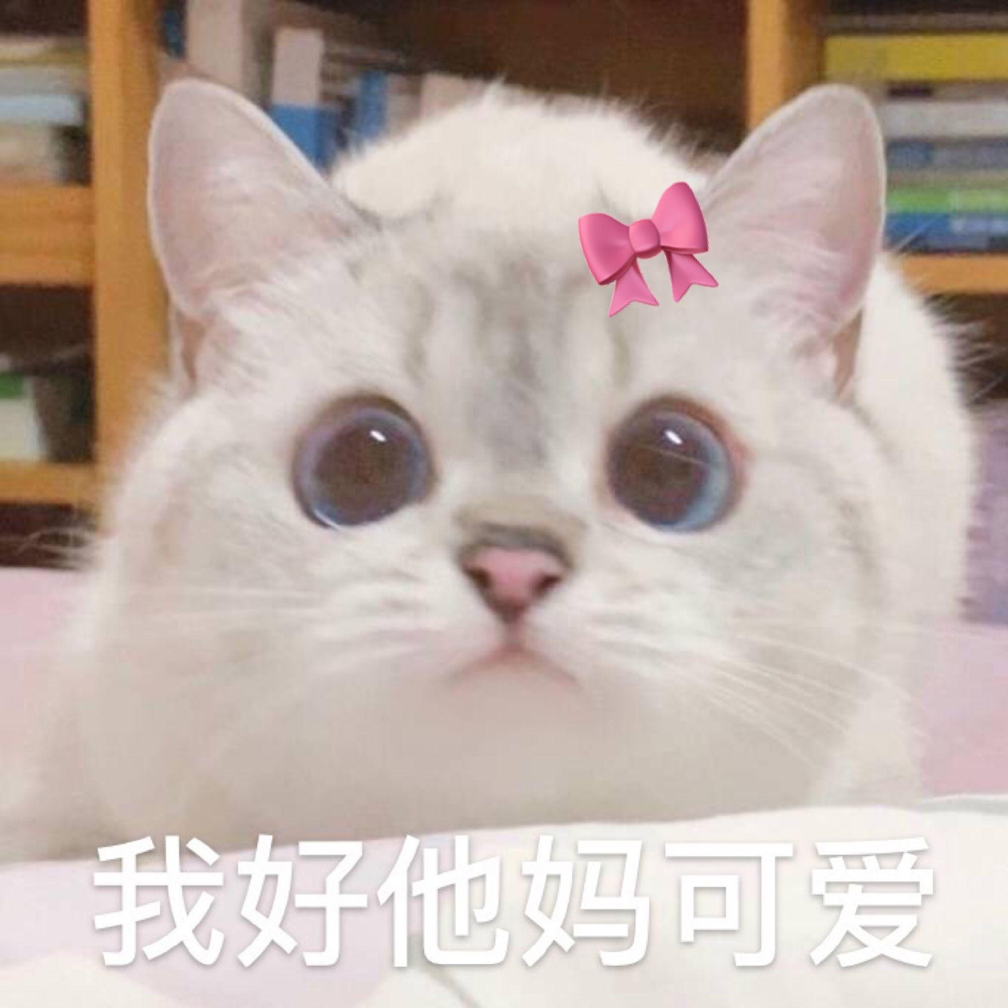 女生老是用沙雕表情包会不会引起反感