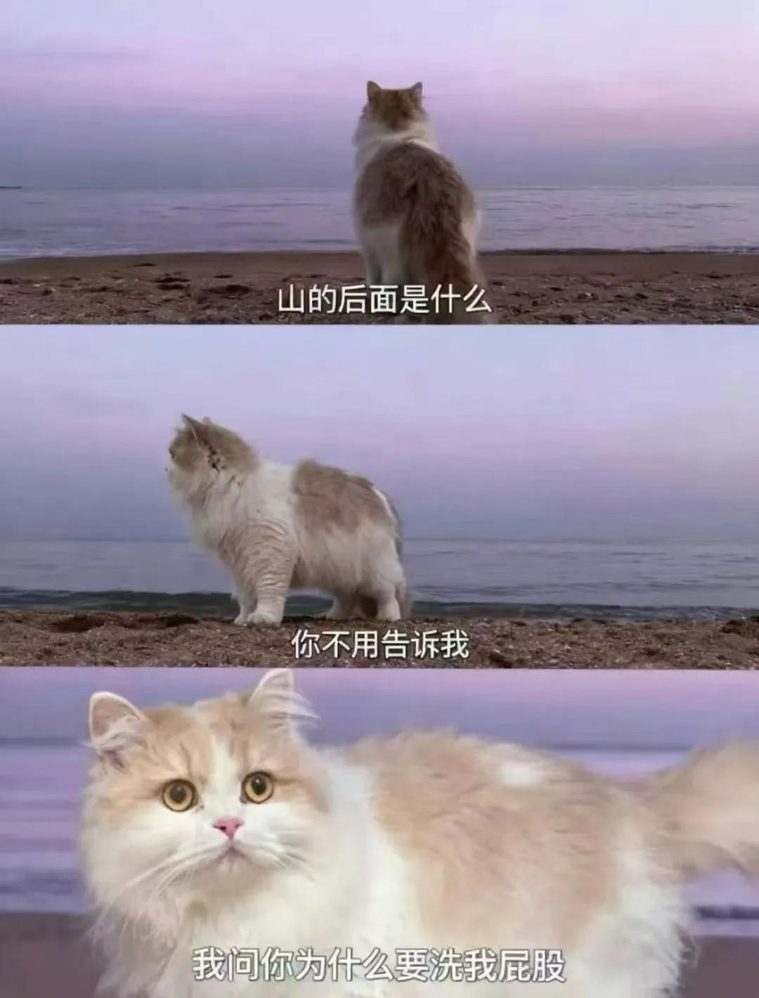 海的那边是什么，你不用告诉我 知乎 