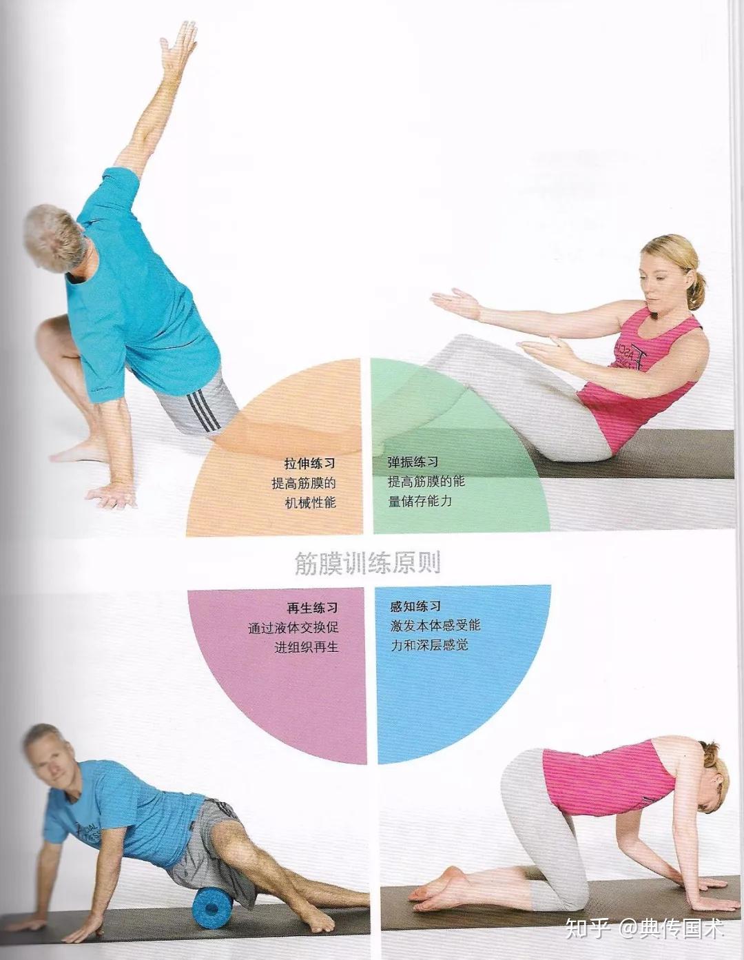 筋膜训练的四个层面
