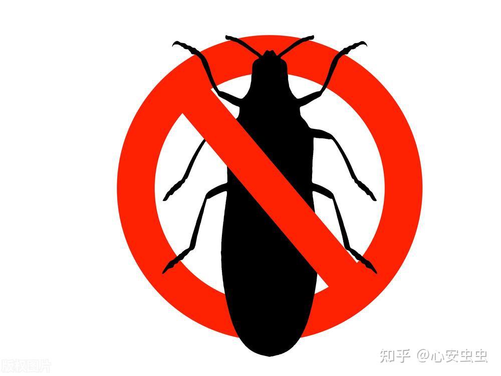 蟑螂会靠近熟睡的人?你知道吗?