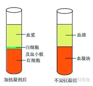 ELISA通关必备丨样本篇丨常见样本丨血清血浆 - 知乎