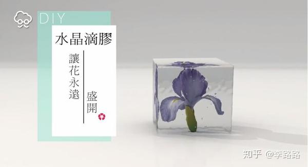 水晶滴胶diy教程制作干花标本凝住花儿盛开的娇颜 知乎