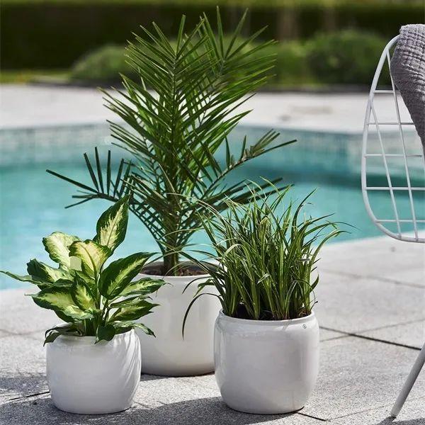 夏日来袭,地中海度假风格不容错过 - 知乎