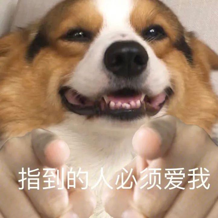 表情包|上号 - 知乎