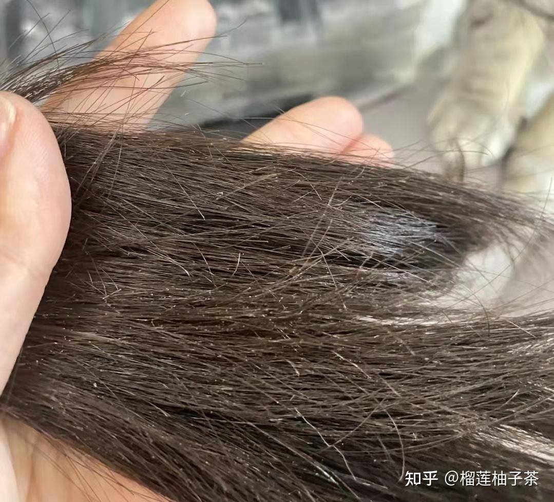 发膜护发素洗发水推荐怎么拯救干枯受损发质