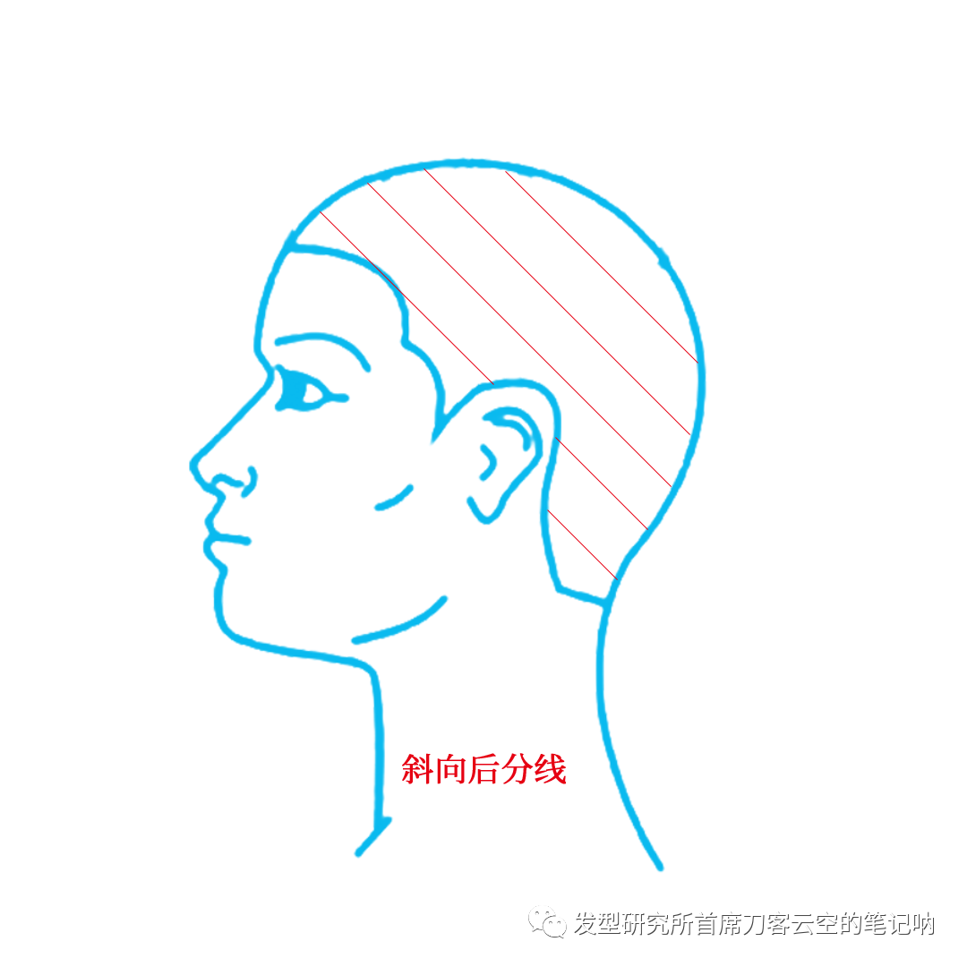云空裁剪之三——分线与发片形状 - 知乎