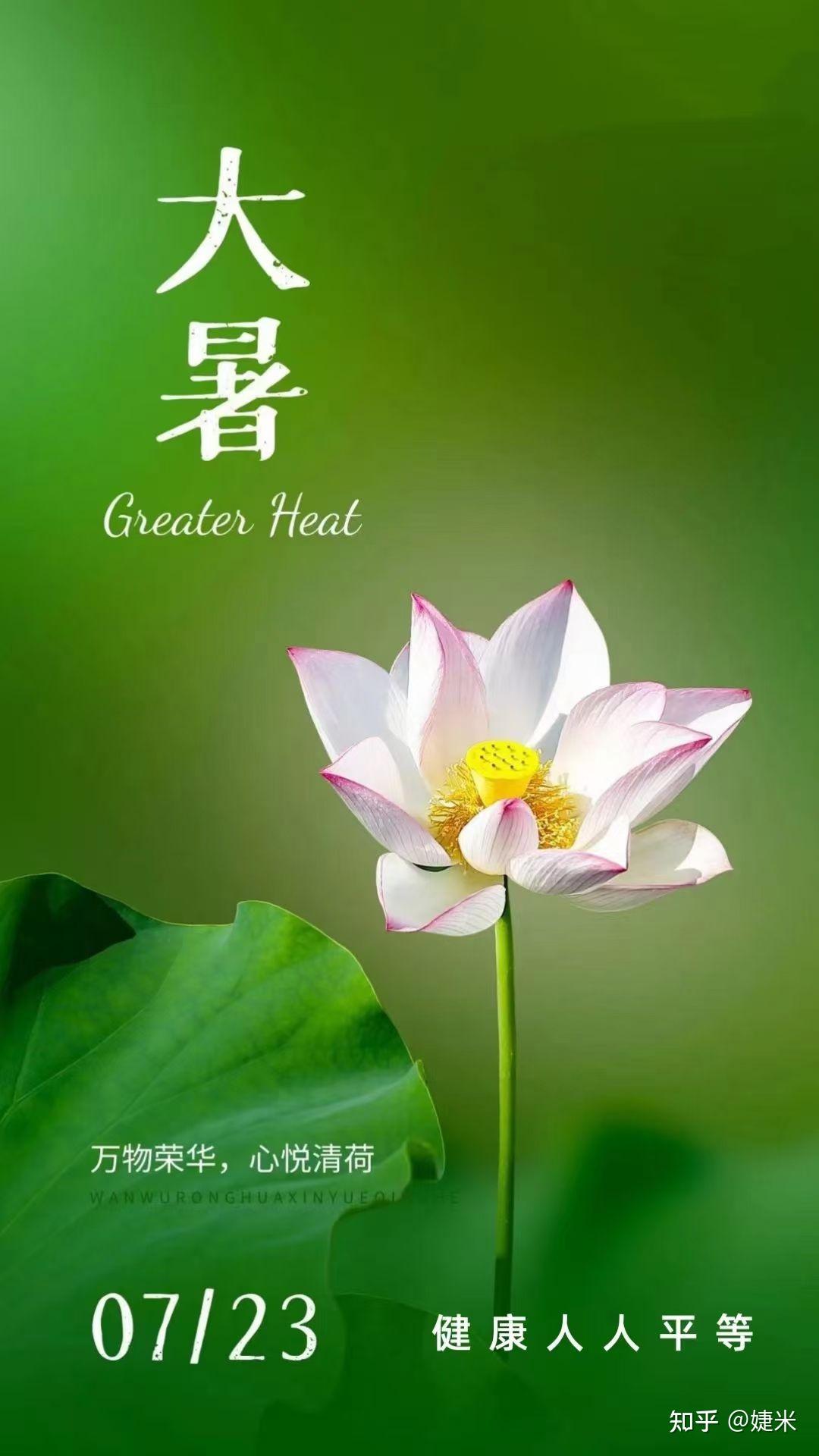 大暑节日文案,海报无水印