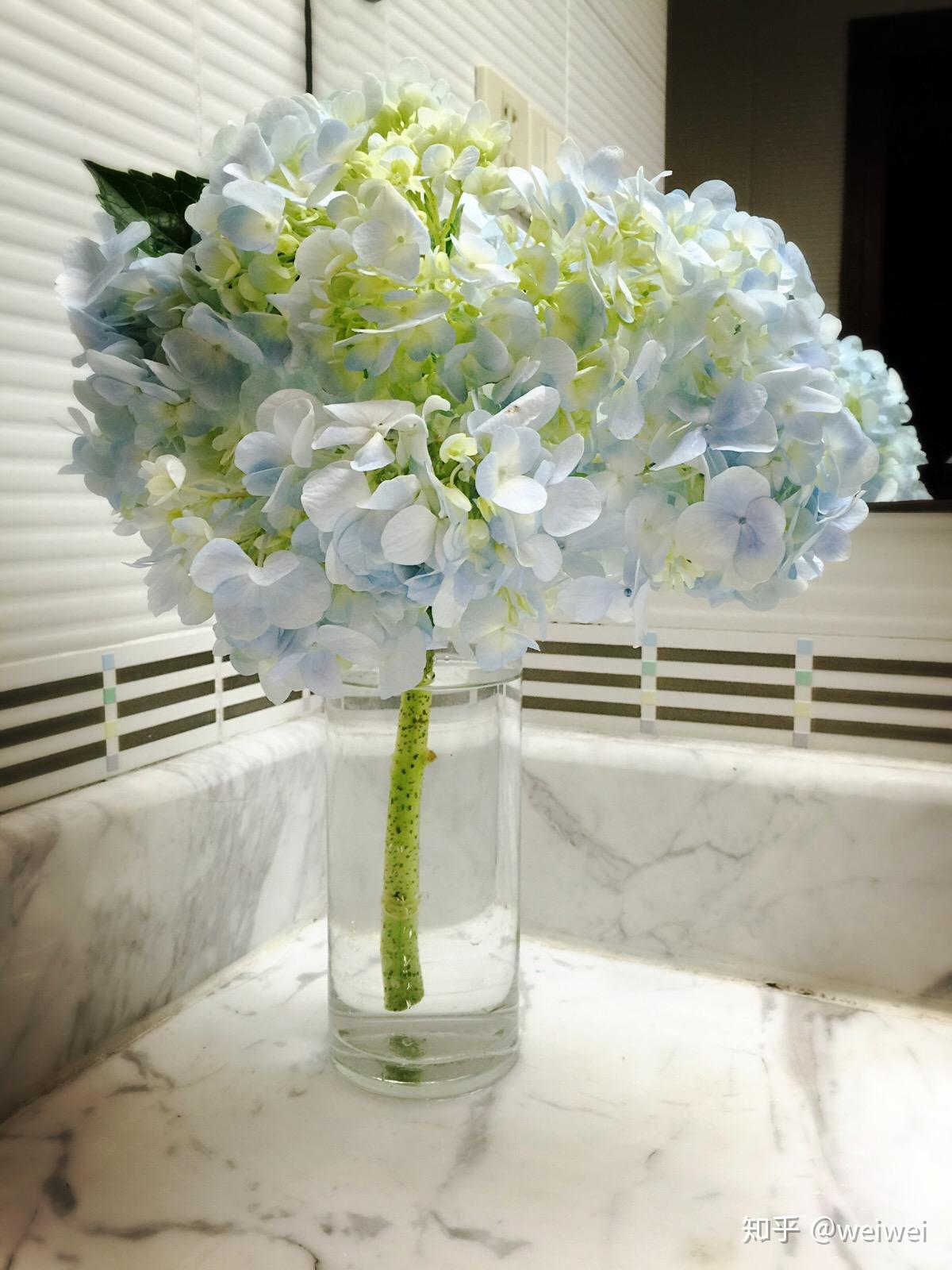 上海插花培训掌握修剪技巧让你的绣球花更艳丽