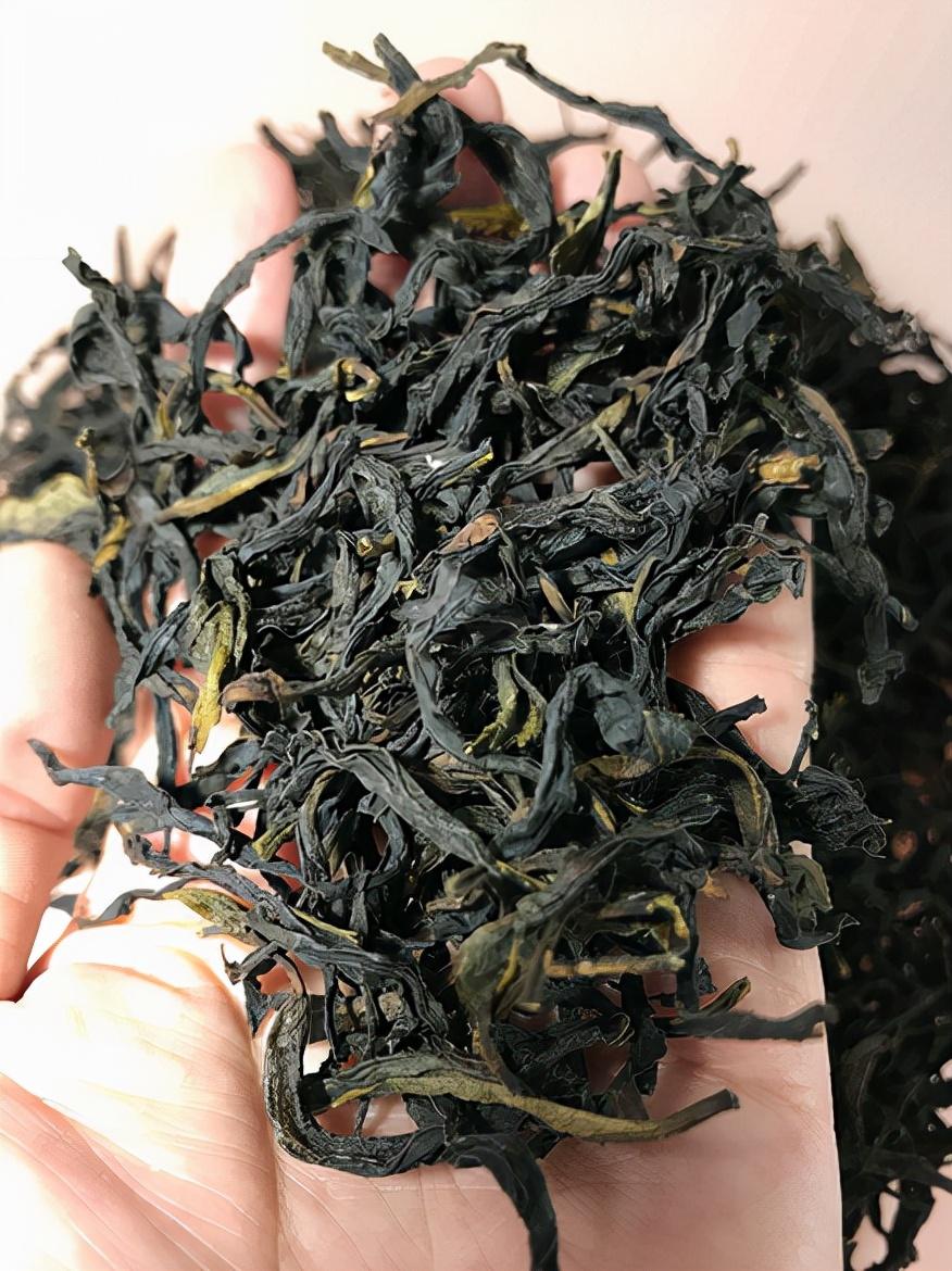 潮州凤凰单丛宋种一号