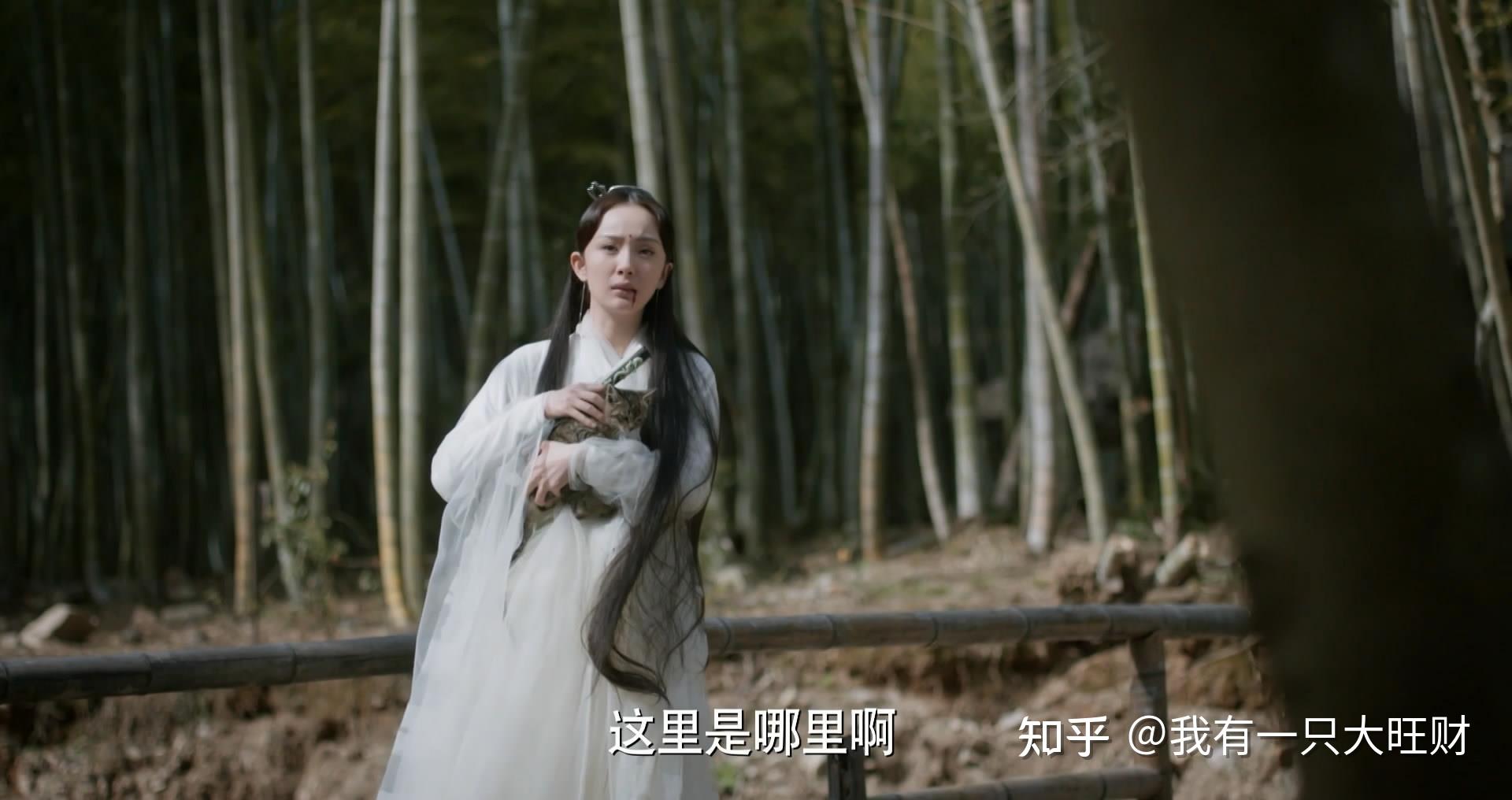 三生三世十里桃花素素与夜华的须臾数年不过是一场天劫罢了